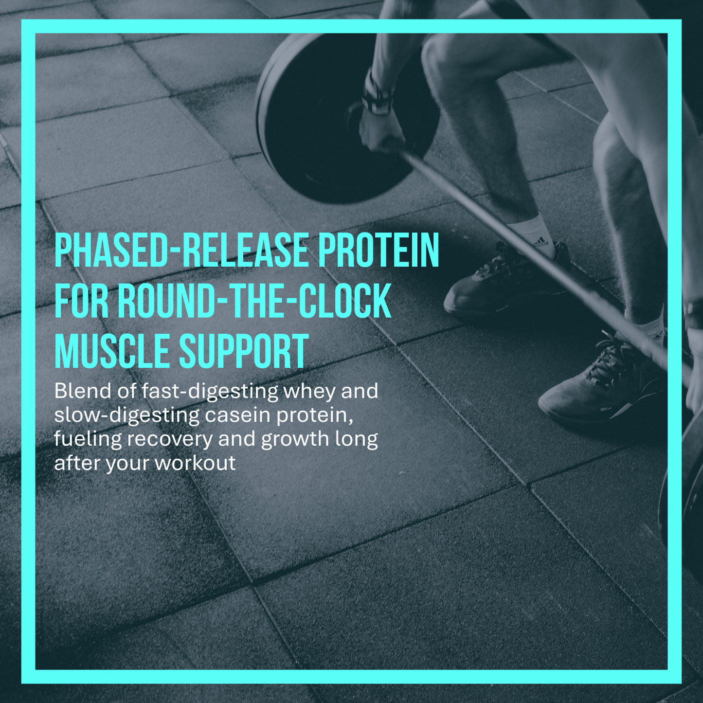 PINNACLE | ULTIMATE PROTEIN POWDER